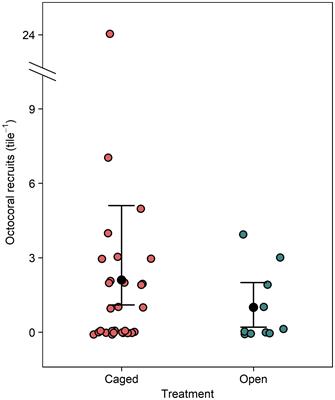 Grazers and predators mediate the post-settlement bottleneck in Caribbean octocoral forests